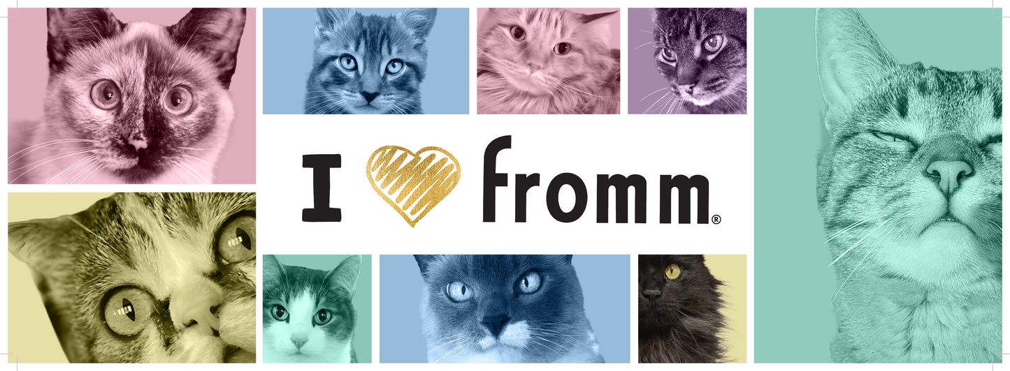 "I ❤️ Fromm" Cat Double-Sided Endcap Header