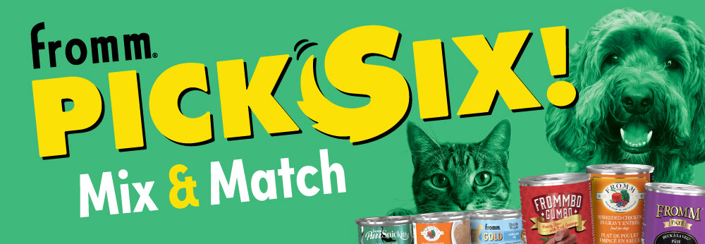 Pick Six | Double-Sided Shelf Header - Cat