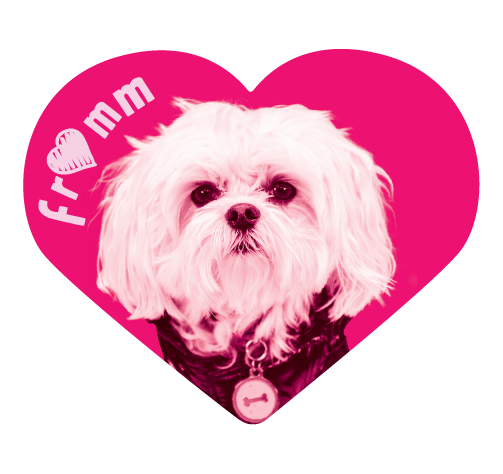 I ❤️ Fromm Sticker Sheet
