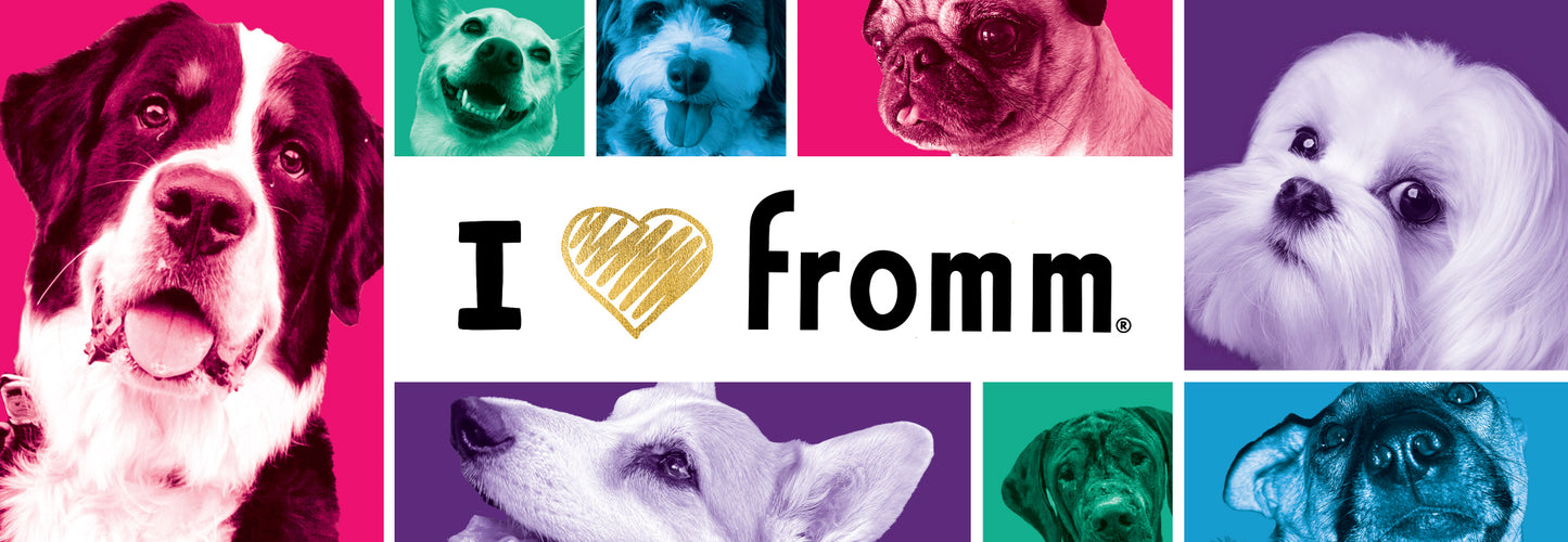 Fromm Give Back 2026 | Double-Sided Header