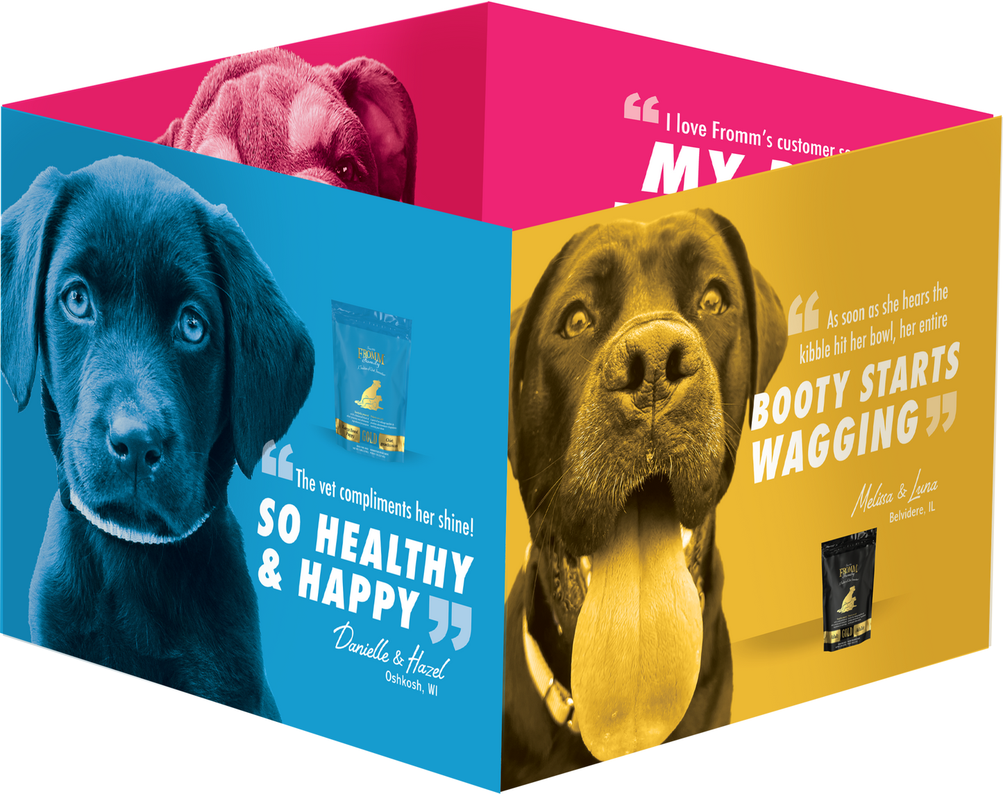 Family is Gold Multi-function Display | Bailey, Hazel, Luna, Reggie, and Speck