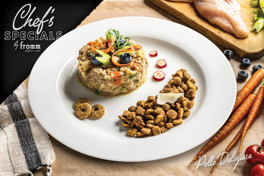 Chef's Specials Lombardi | Pollo Delizioso Recipe Card (25-Pack)