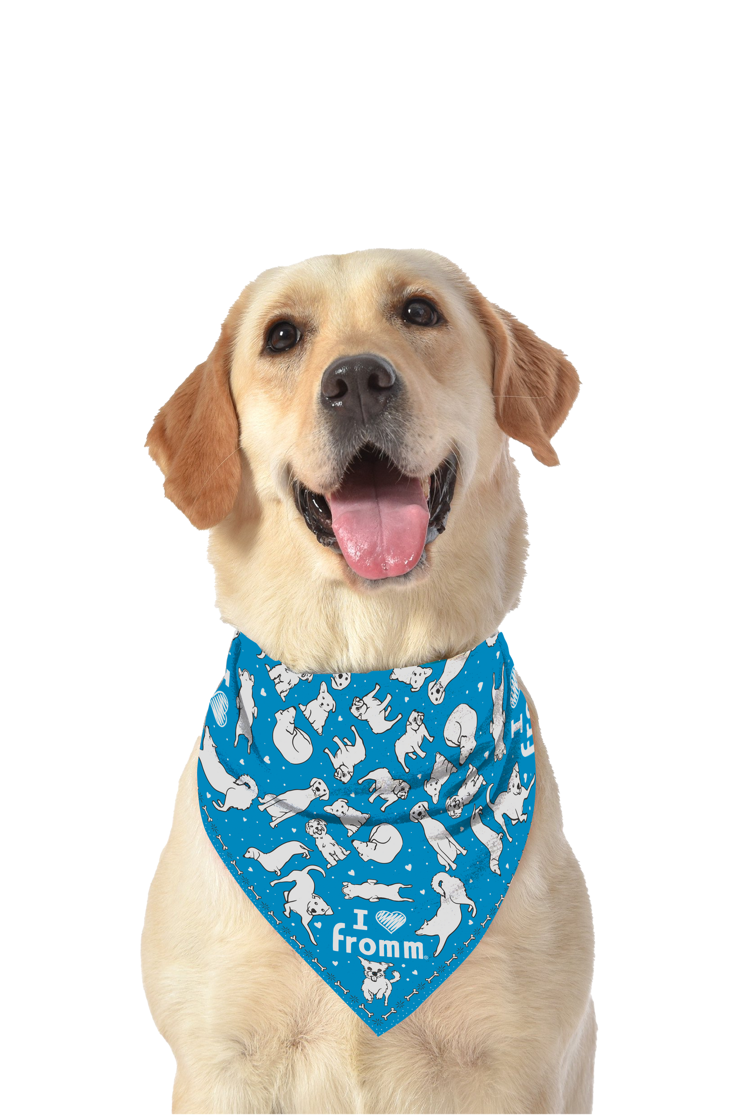 I ❤️ Fromm 22” Square Bandana (3 Colors)