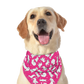 I ❤️ Fromm 22” Square Bandana (3 Colors)