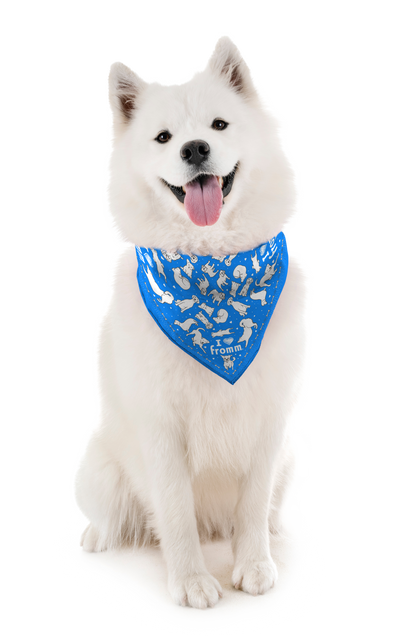 I ❤️ Fromm 22” Square Bandana (3 Colors)