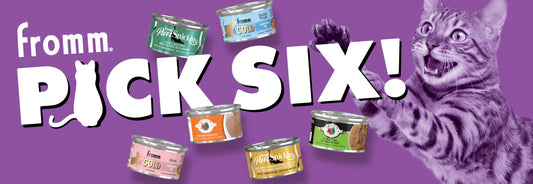 Pick Six | Double-Sided Shelf Header - Cat