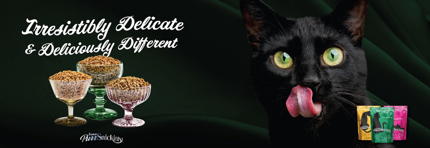 PurrSnickitty | Multi-function Display