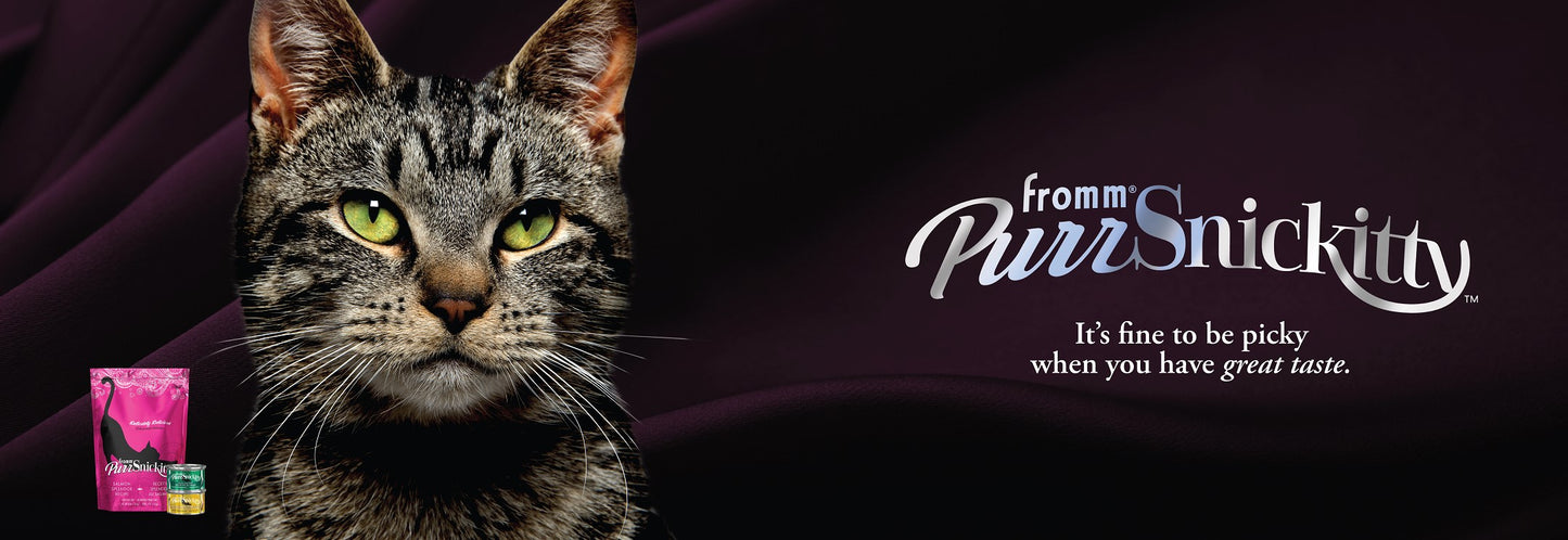 PurrSnickitty | Multi-function Display
