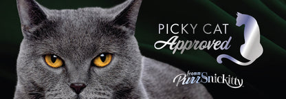 PurrSnickitty Double-Sided Shelf Header
