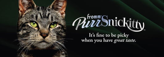 PurrSnickitty Double-Sided Shelf Header